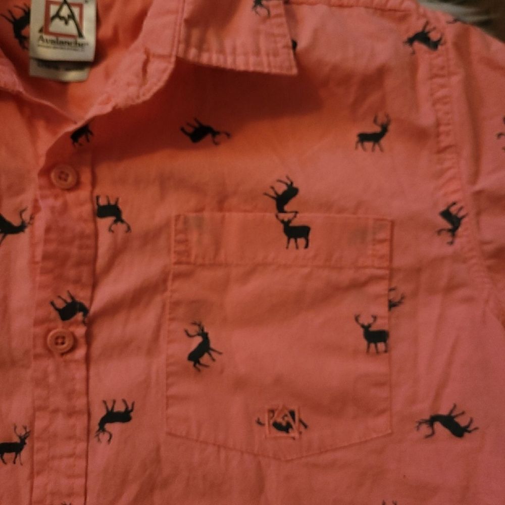Avalanche Button Down    - Picture 3 of 4